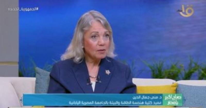 الدكتورة منى جمال الدين