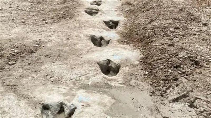 اكتشاف آثار ديناصورات عمرها 113 مليون سنة