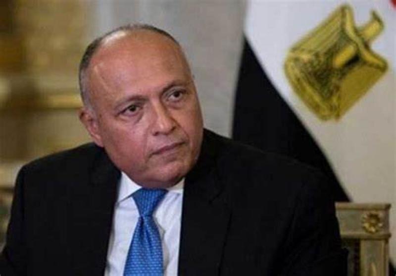 وزير الخارجية ‫سامح شكري