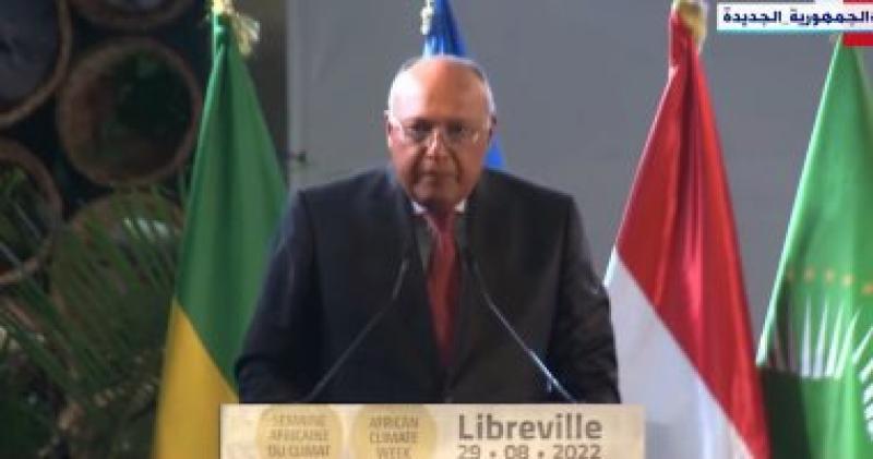 سامح شكرى