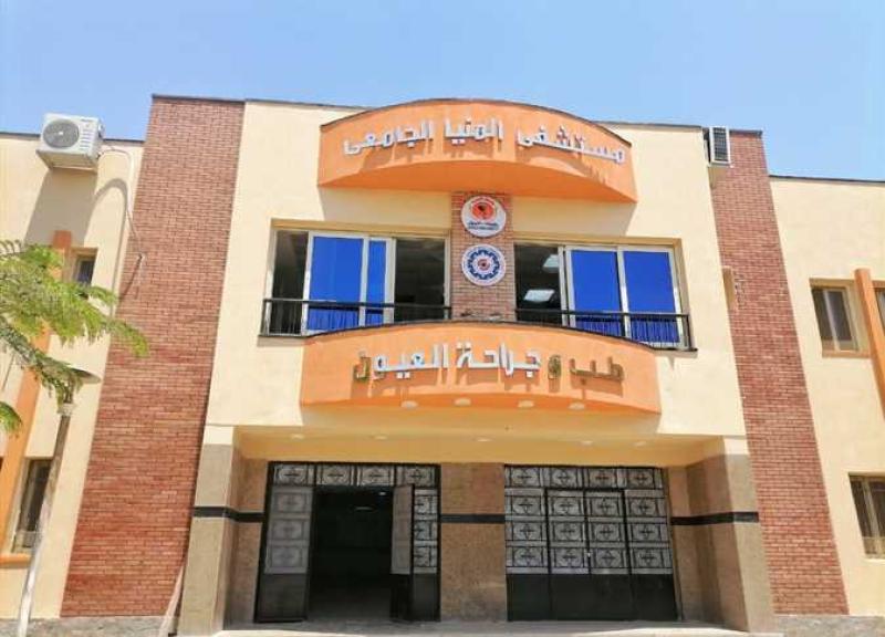 جامعة المنيا