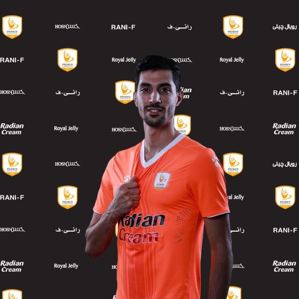 محمود حمادة 