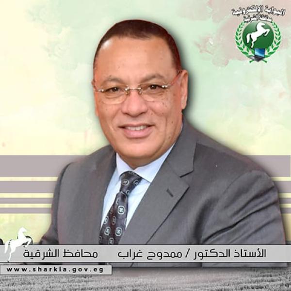 محافظ الشرقية 