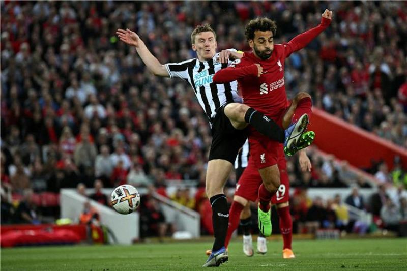 ليفربول ونيوكاسل