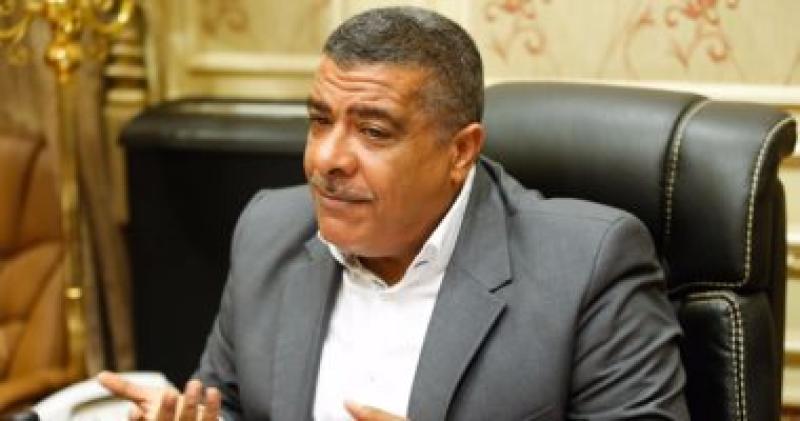النائب معتز محمد محمود