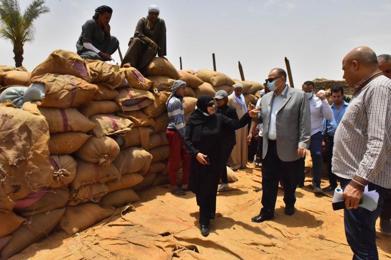  انتهاء موسم توريد محصول القمح المحلي 