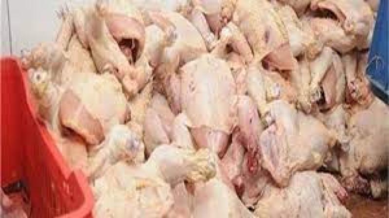 مقطعات دواجن