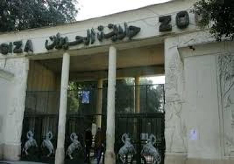 حديقة حيوان الجيزة
