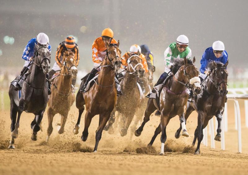 سباق خيول