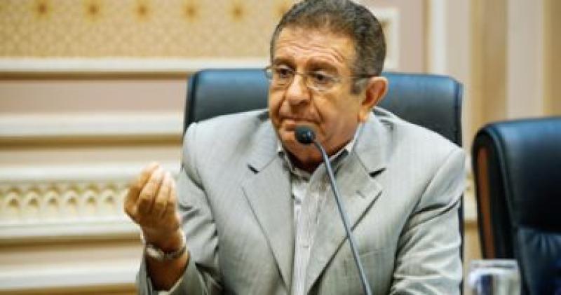 النائب يسرى المغازى 