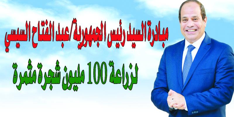 مبادرة مليون شجرة 