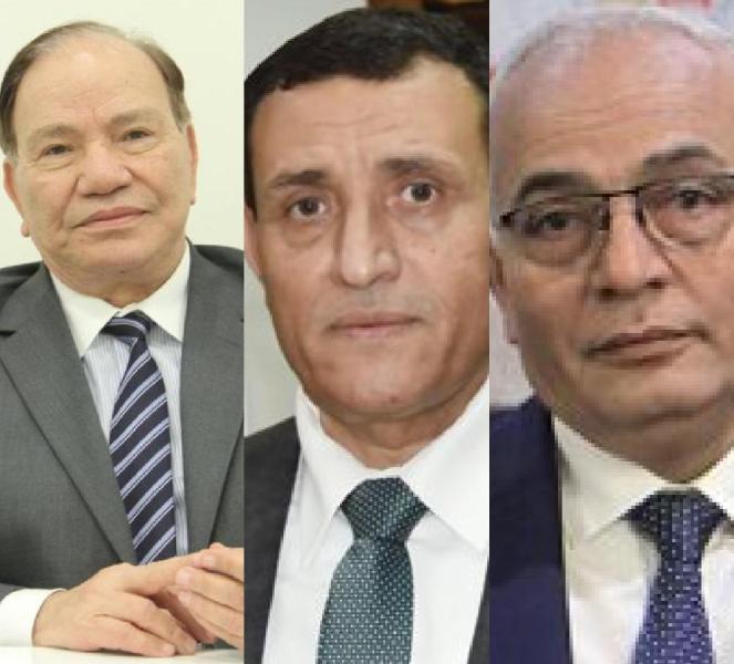 وزير التربية و التعليم ورئيس الجهاز التنفيذي للهيئة العامة لتعليم الكبار والدكتور صديق عفيفي