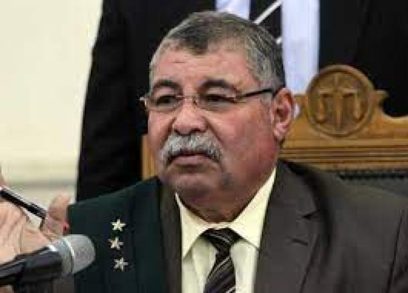 المستشار حسن فريد  