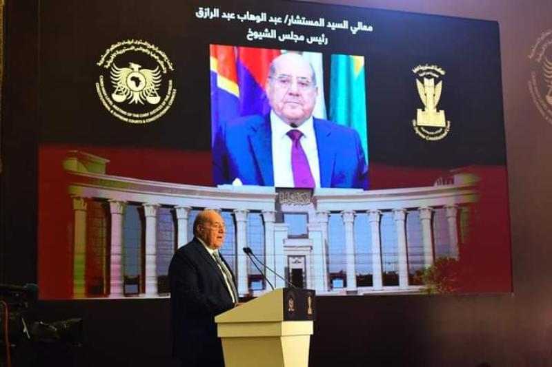 المستشار عبدالوهاب عبدالرازق رئيس مجلس الشيوخ