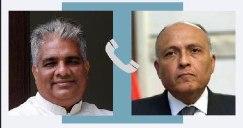 وزير الخارجية سامح شكرى ووزير خارجية الهند