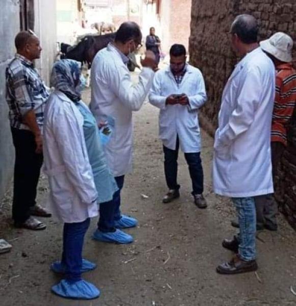  تحصين ٤٨٨الف راس ماشية ضد الحمى  القلاعية