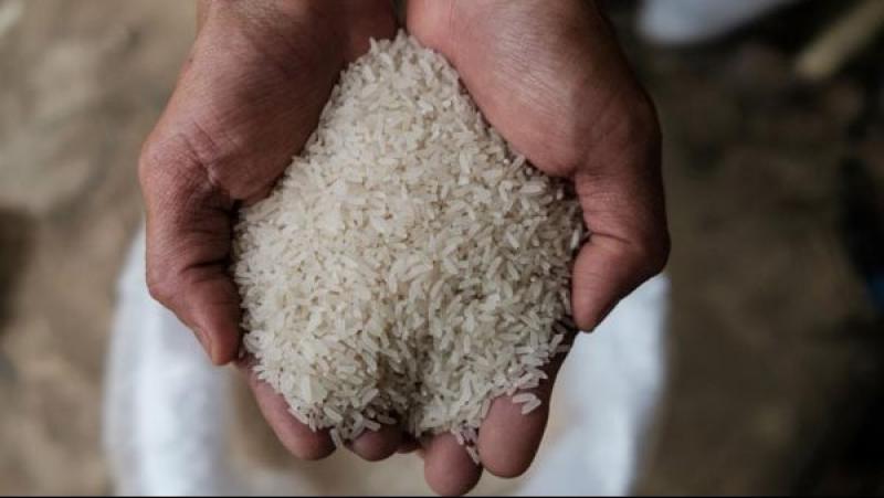  اسنلام 140طن ارز شعير من المزارعين حتى الآن
