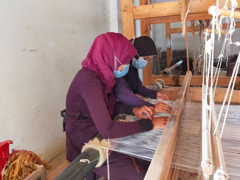 تدريب الفتيات على صناعة السجاد بالوادي الجديد