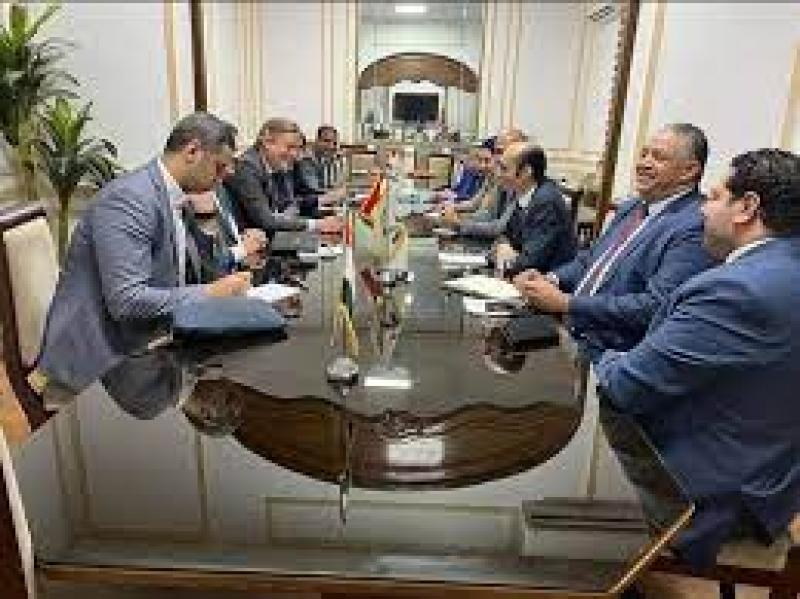استقبال عضو البرلمان الأوروبي في القاهرة
