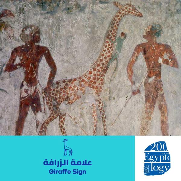 علامة الزرافة
