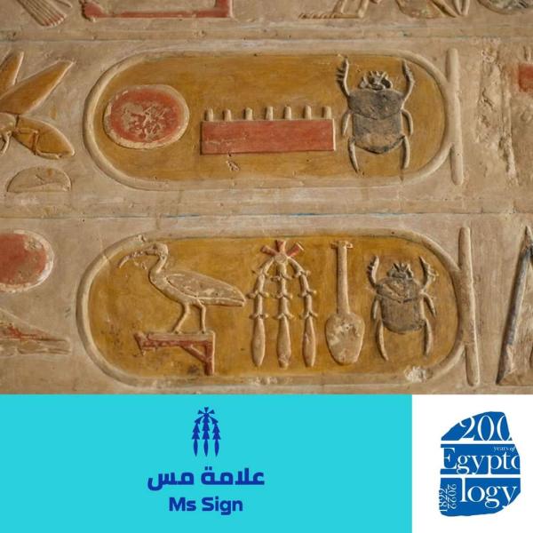 علامة ميس 