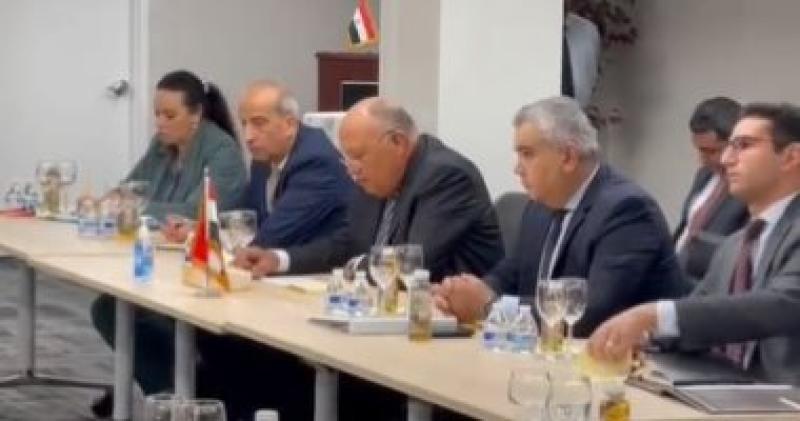 المباحثات المصريه الهنديه