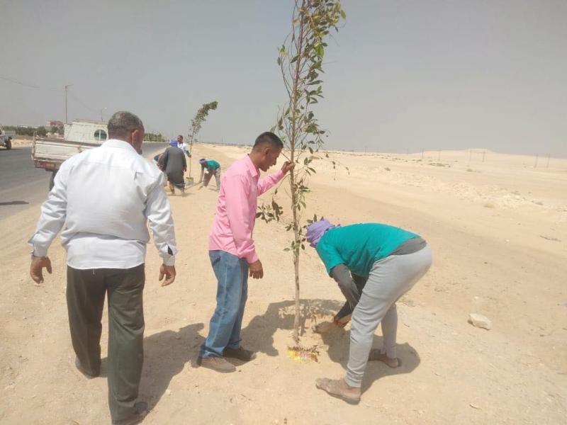 المبادرة الرئاسية 100 مليون شجرة