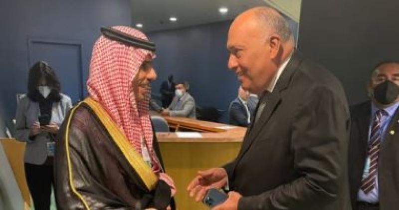 وزير الخارجية ونظيره السعودي