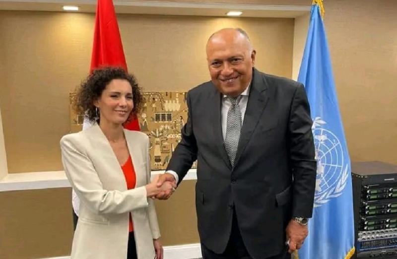 وزيرا خارجية مصر وبلجيكا 