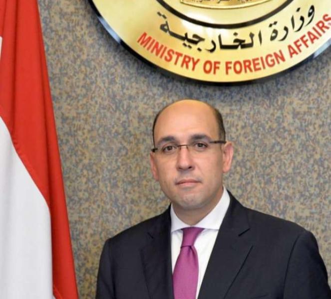 السفير أحمد حافظ 