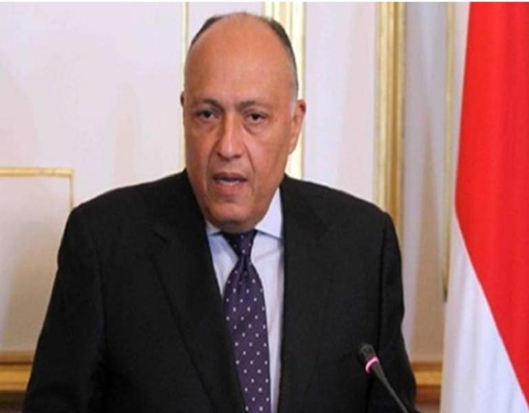 سامح شكرى وزير الخارجية 