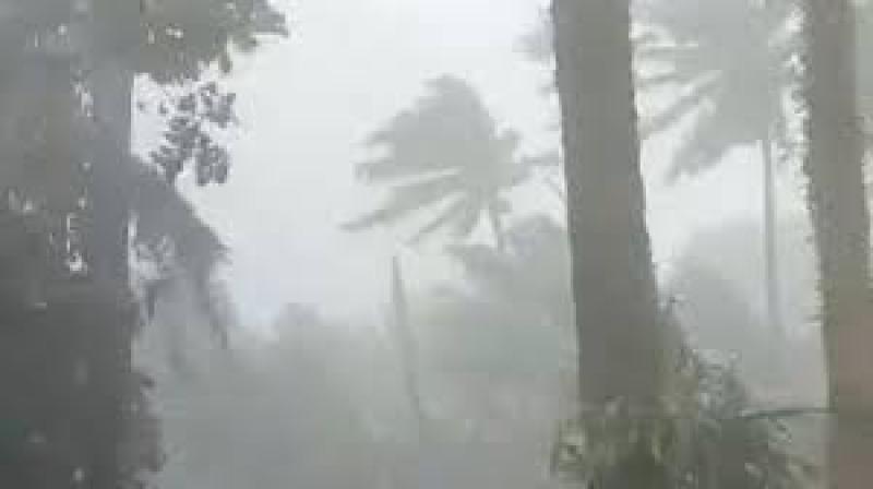 الإعصار نورو الشديد