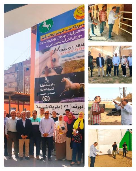  مهرجان الخيول باشراف طبي على الخيول والفرسان المشاركة 