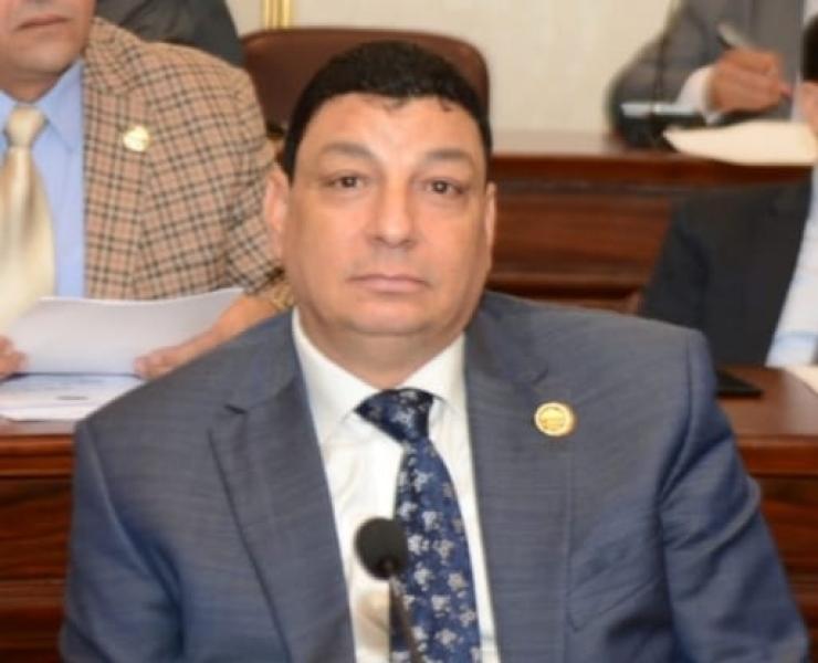 سامي نصر اللة