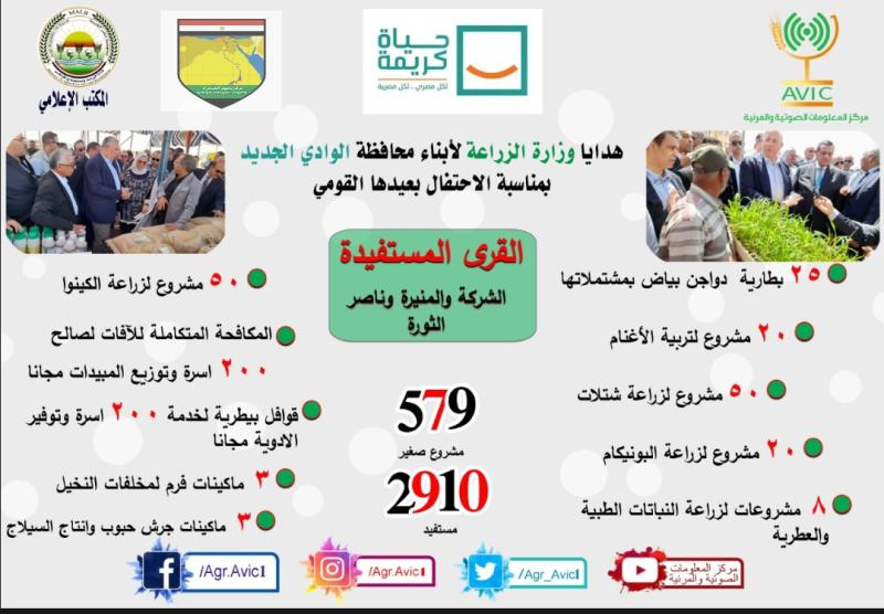 مشروعات الوادى الجديد 