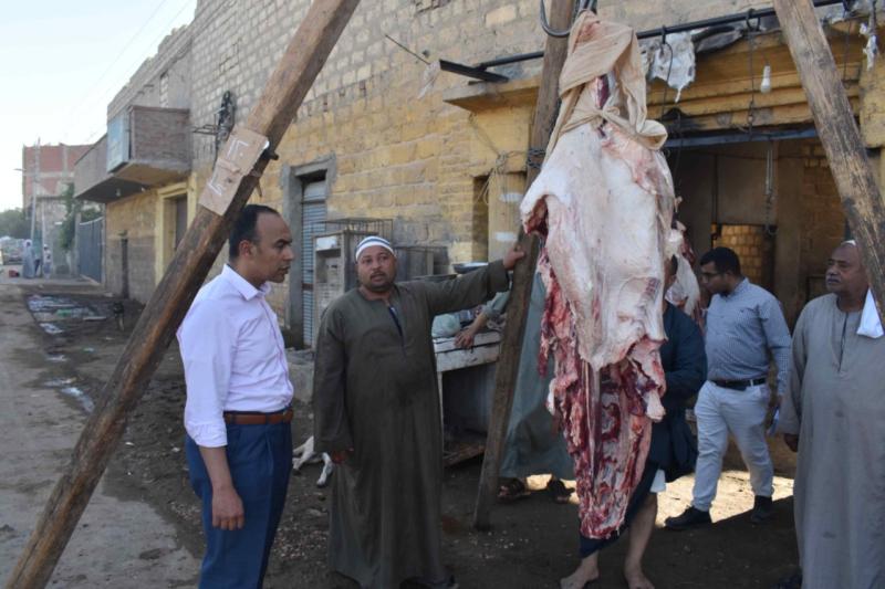 نائب محافظ المنيا يتابع سير العمل بعدد من القطاعات الخدمية بقرية دمشير بمركز المنيا