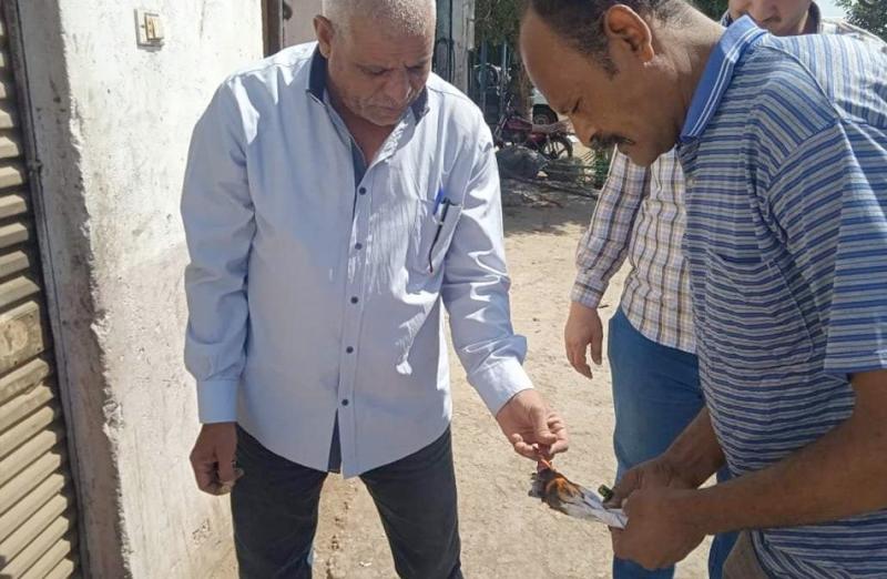 تشميع وإزالة 10 طلمبات وقود بالطريق الدائري بمركز بني مزار في المنيا
