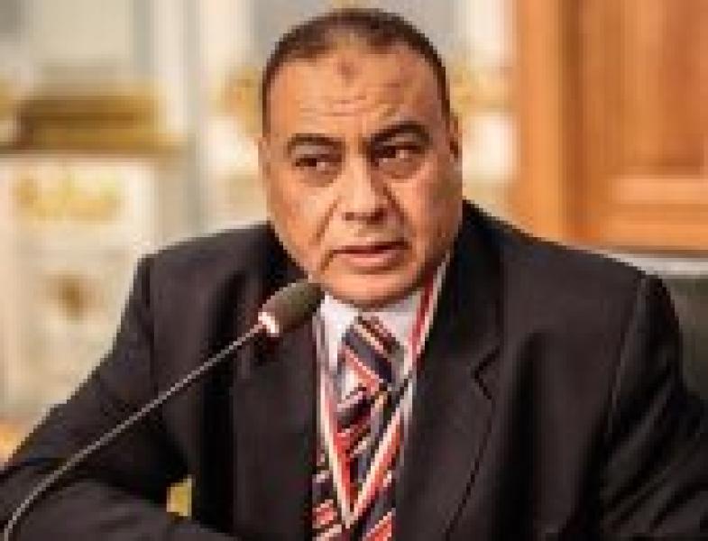 المستشار محمد سليم