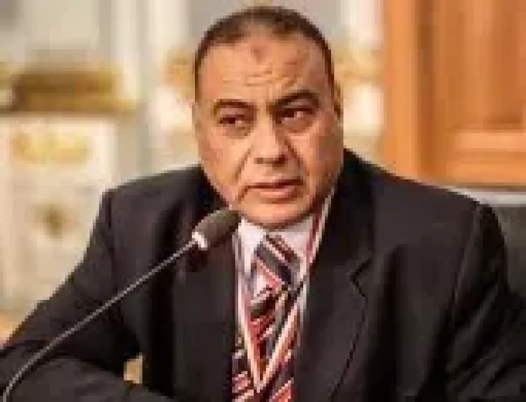 المستشار محمد سليم 