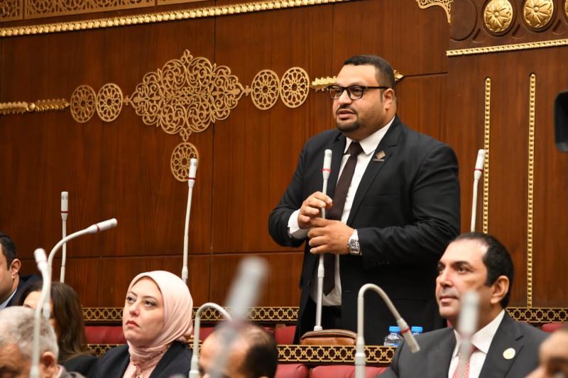 النائب أحمد القناوي