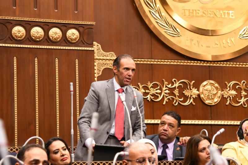 النائب محمد فريد