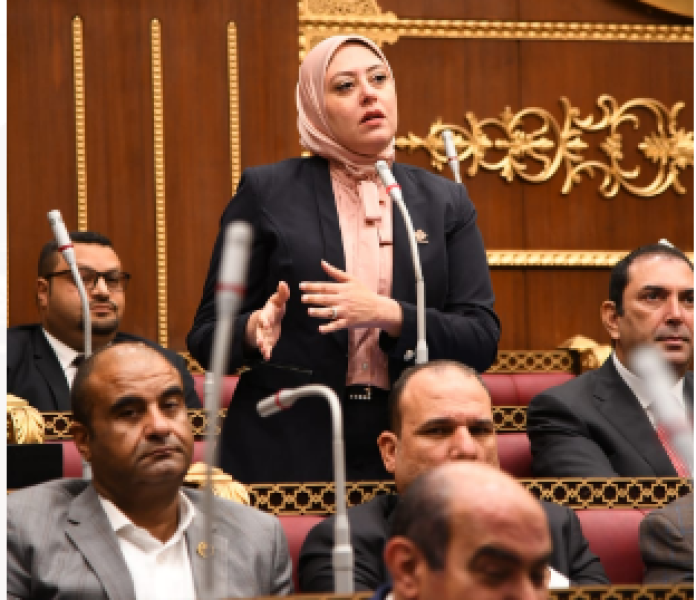 النائبة نهى زكي