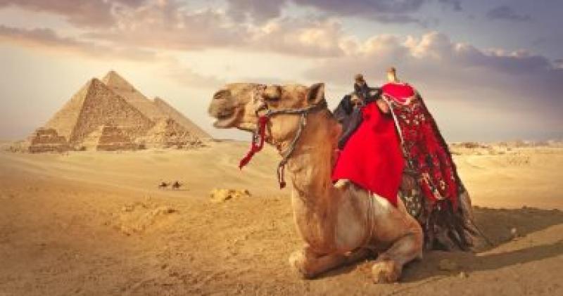 الاهرامات 