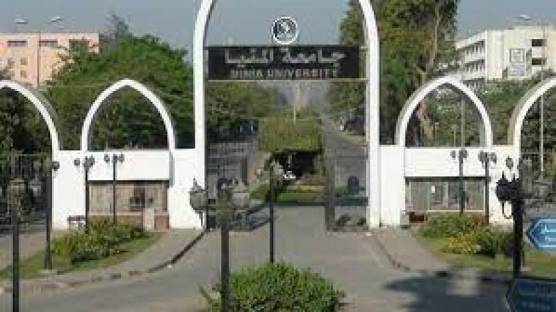 جامعة المنيا 