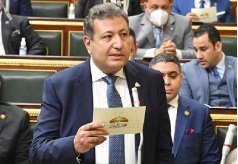 النائب طارق شكرى