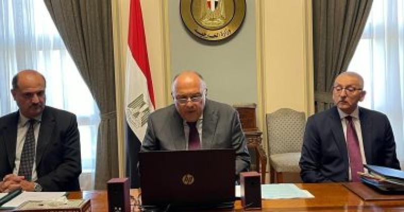 شكري خلال المؤتمر