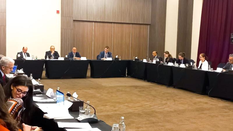 المائدة المستديرة التي استضافتها القاهرة لمجموعة الخبراء رفيعة المستوى