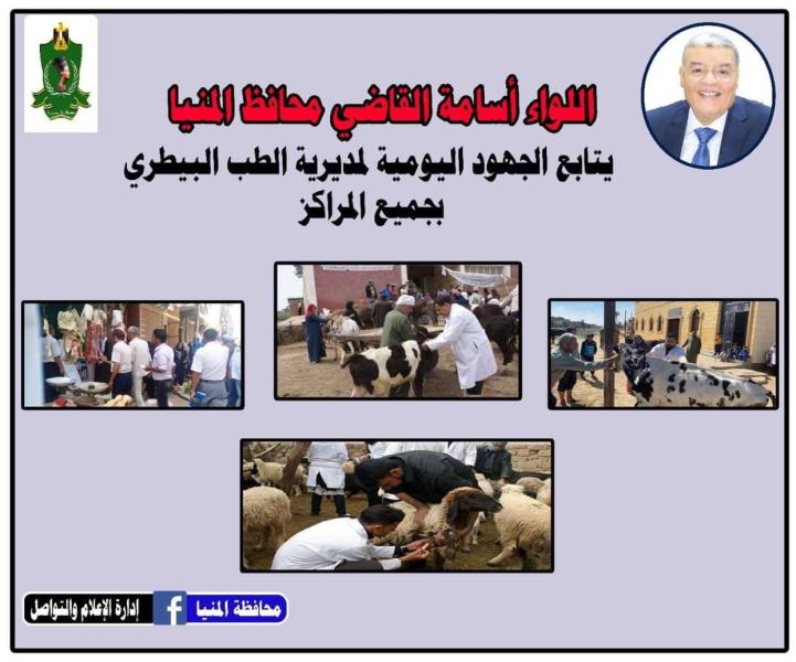 بيطري المنيا يضبط 311 كجم من اللحوم مذبوحة خارج المجازر خلال حملات رقابية