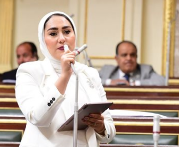 النائبة ايه فوزى فتى