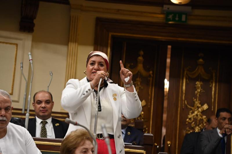 النائبة رحاب الغول